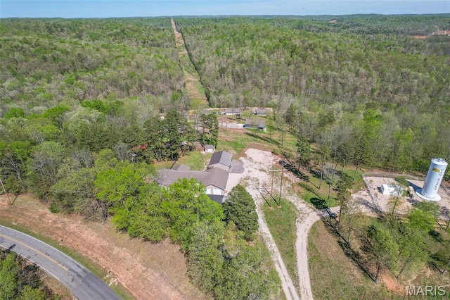 bird's eye view of a forest