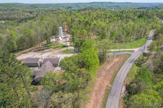 bird's eye view of a forest