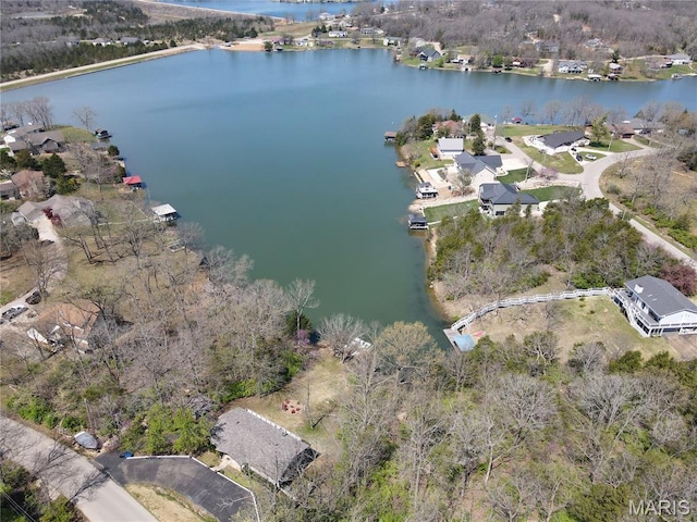 1207 Napoleon Dr, Bonne Terre, MO 63628 - aerial overview of property's location with a large body of water