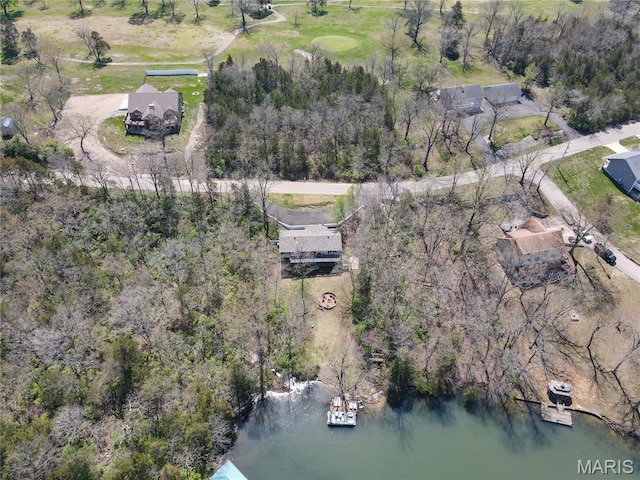 1207 Napoleon Dr, Bonne Terre, MO 63628 - aerial overview of property's location featuring a nearby body of water