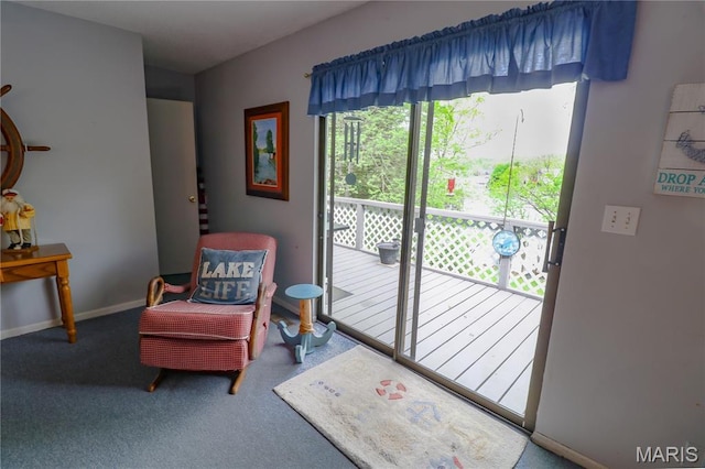 1207 Napoleon Dr, Bonne Terre, MO 63628 - living area with carpet flooring and baseboards