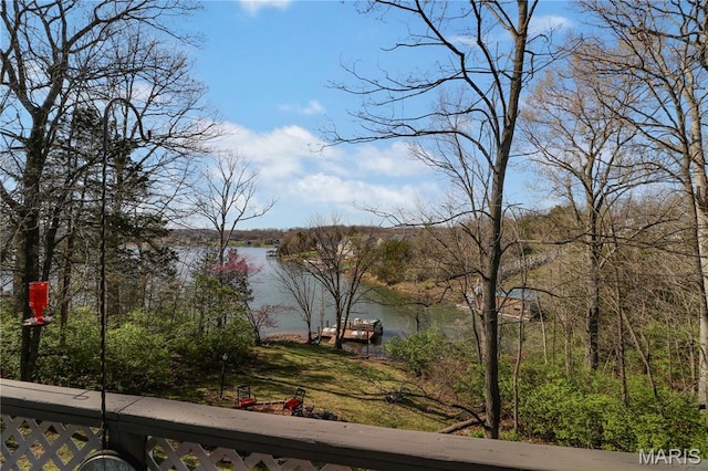 1207 Napoleon Dr, Bonne Terre, MO 63628 - water view