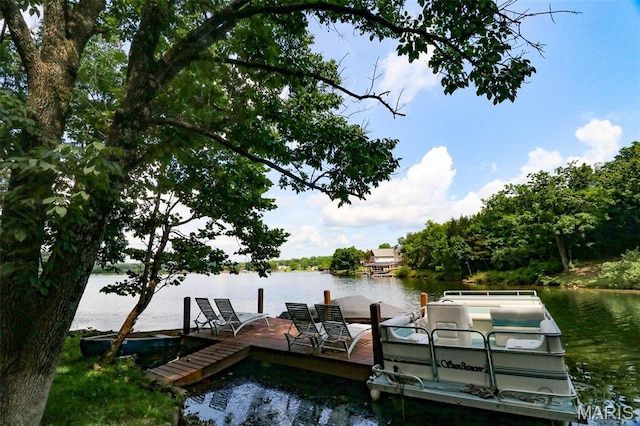 1207 Napoleon Dr, Bonne Terre, MO 63628 - dock area with a water view