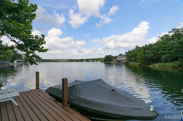 1207 Napoleon Dr, Bonne Terre, MO 63628 - dock area featuring a water view