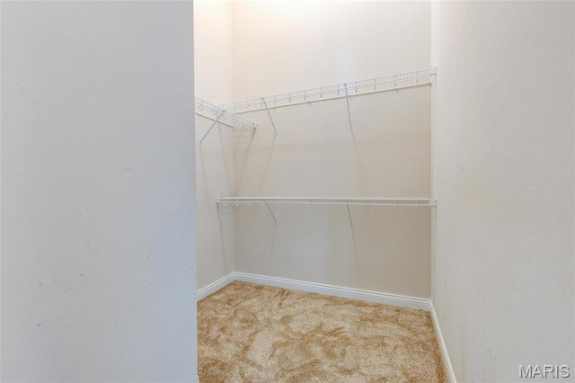 190 Bay Meadow Cir, Moro, IL 62067 - walk in closet featuring carpet