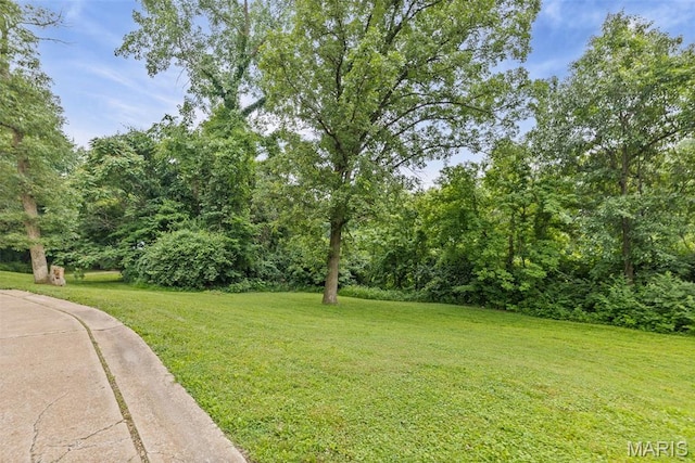 110 Fullerton Rd, Belleville, IL 62226 - photo 6