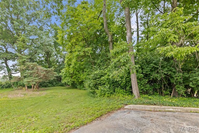 110 Fullerton Rd, Belleville, IL 62226 - photo 12