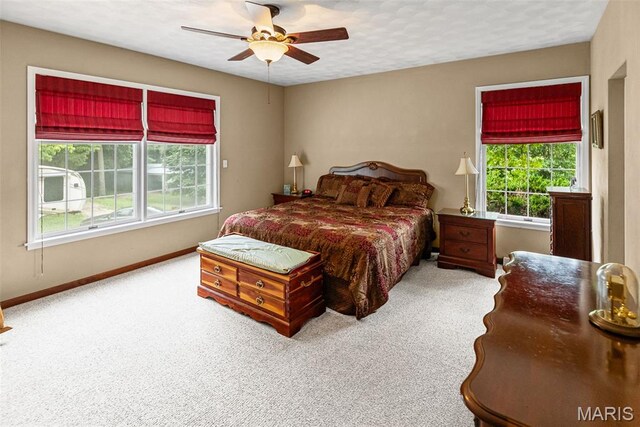 110 Fullerton Rd, Belleville, IL 62226 - photo 35