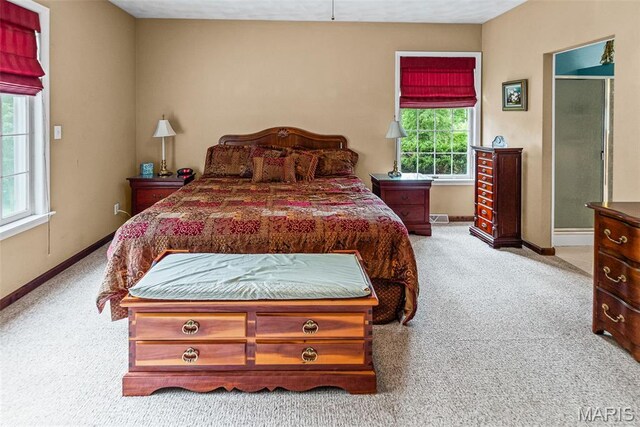 110 Fullerton Rd, Belleville, IL 62226 - photo 36