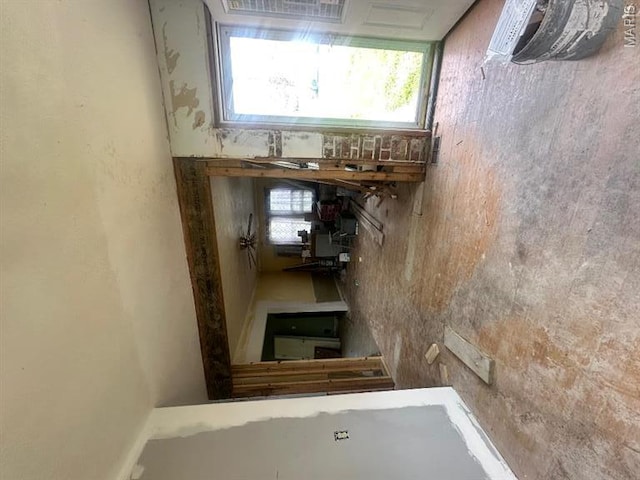 713 S Rapp Ave, Columbia, IL 62236 - view of basement