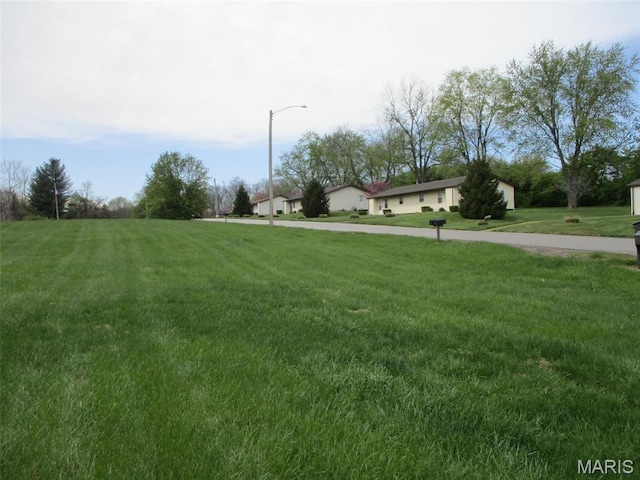 view of green lawn