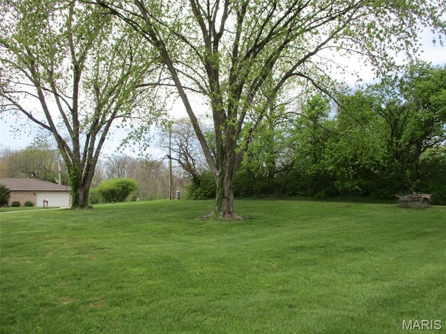 view of green lawn
