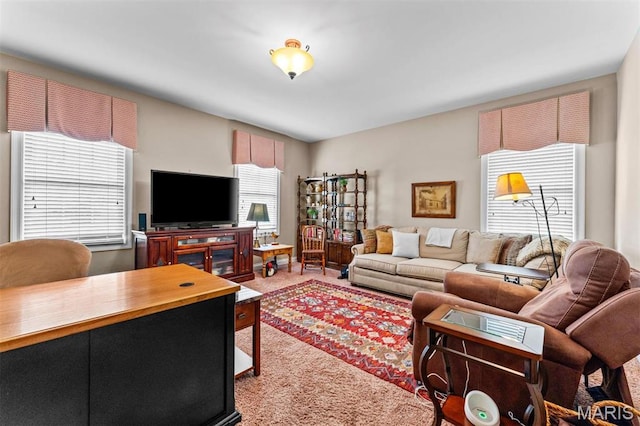 9906 Sappington Rd, Saint Louis, MO 63128 - view of carpeted living area