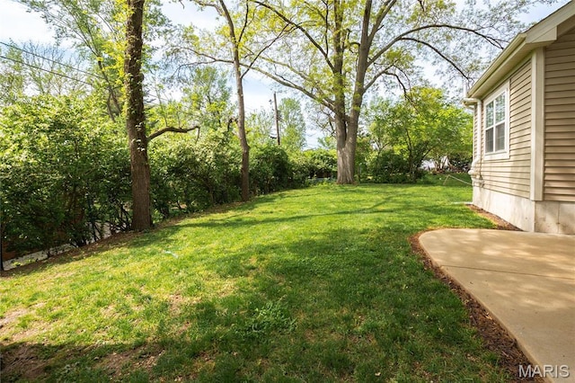 15248 Clayton Rd, Ballwin, MO 63011 - photo 43
