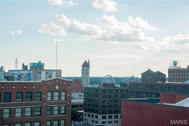 1520 Washington Ave Unit 604, Saint Louis, MO 63103 - city view