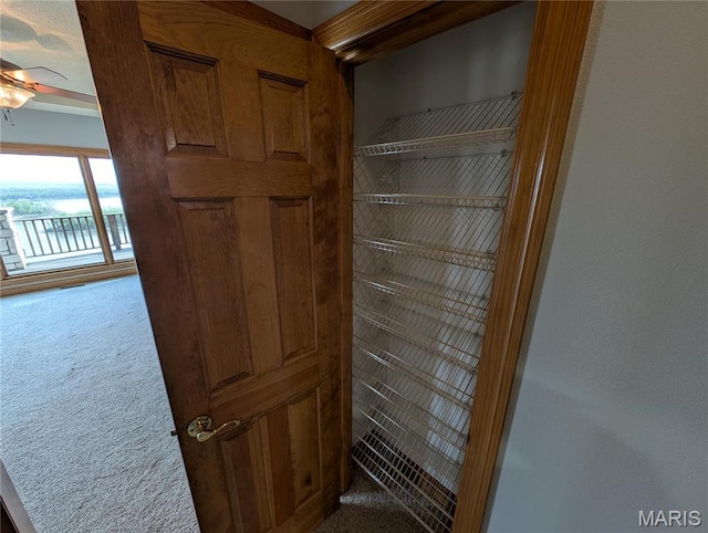 1 River Ridge Rd, Grafton, IL 62037 - detailed view of carpet and a ceiling fan