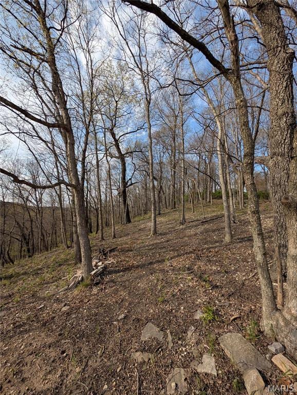 1 River Ridge Rd, Grafton, IL 62037 - view of local wilderness
