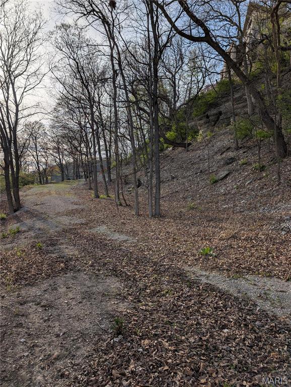 1 River Ridge Rd, Grafton, IL 62037 - view of local wilderness