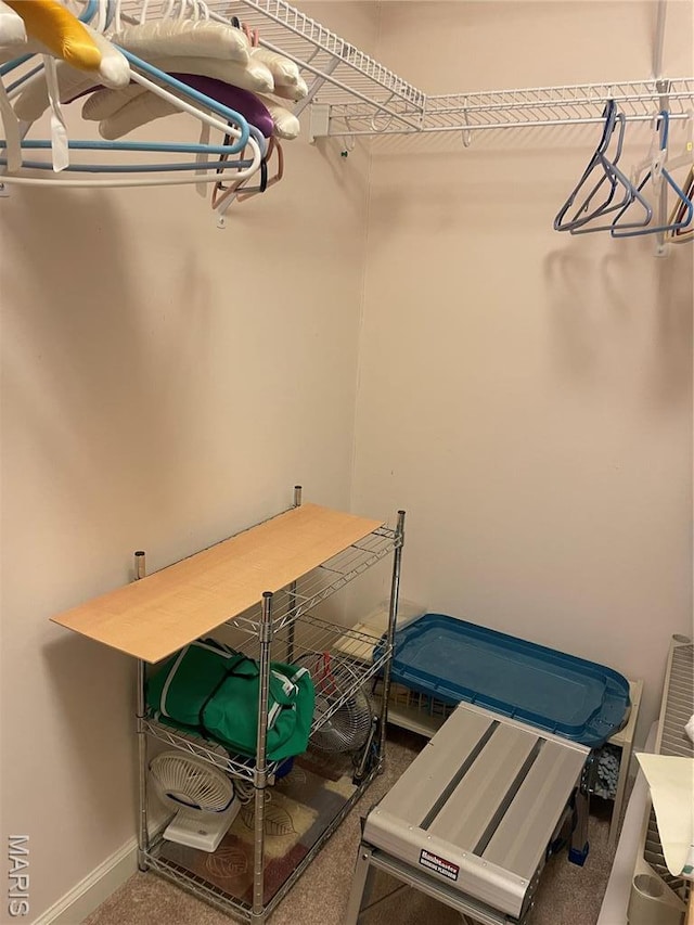 walk in closet with carpet