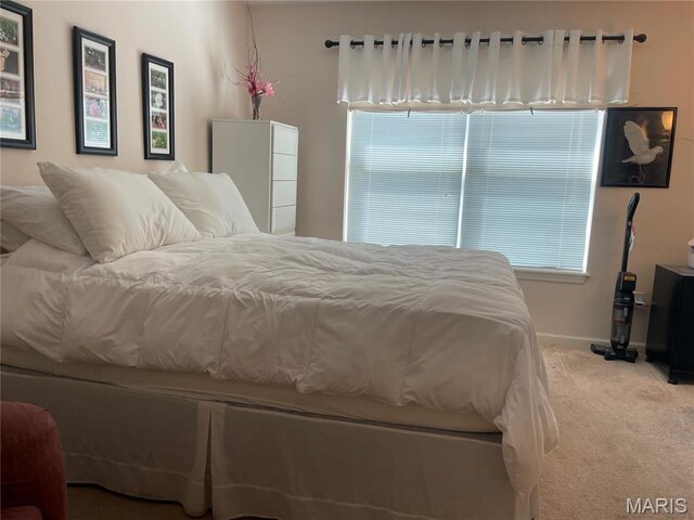 bedroom featuring carpet flooring, multiple windows, and baseboards