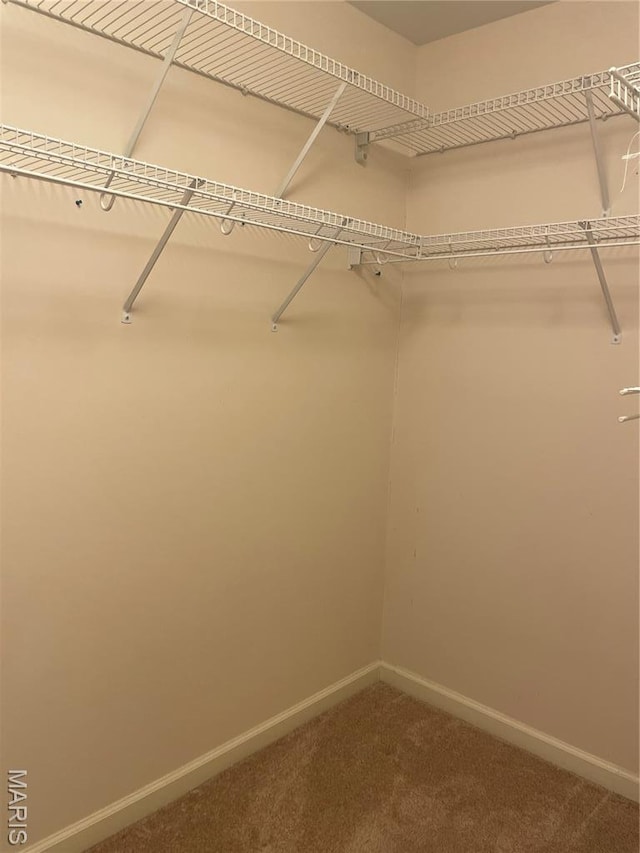 110 Hawk Nest, Union, MO 63084 - photo 15