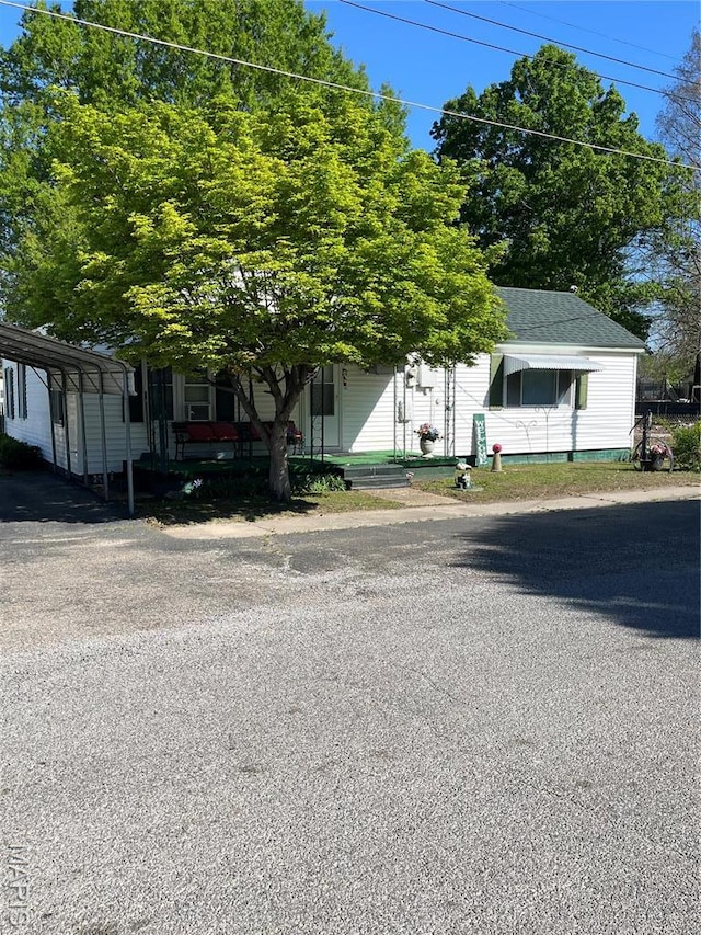 316 Bellvue St, Steele, MO 63877 - view of property hidden behind natural elements