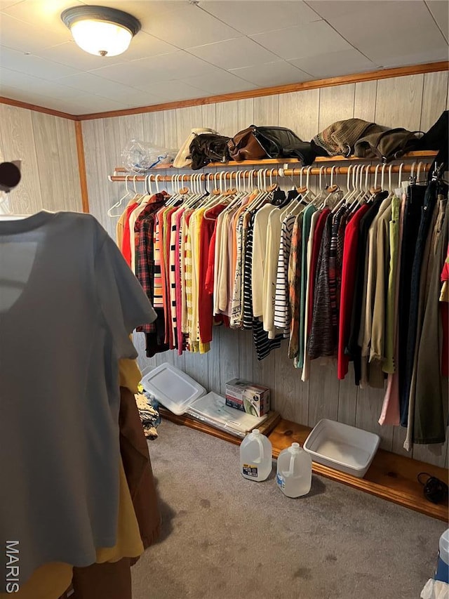 316 Bellvue St, Steele, MO 63877 - walk in closet with carpet floors