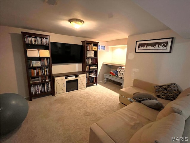 1531 Prather Ave, Saint Louis, MO 63139 - view of carpeted living area