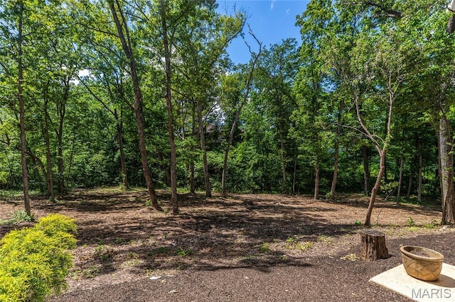 4743 Jacob Ln, New Melle, MO 63385 - photo 32