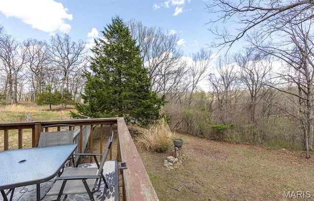 262 Leisure Ln, Montreal, MO 65591 - photo 13