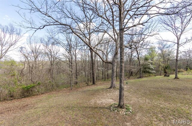 262 Leisure Ln, Montreal, MO 65591 - photo 15