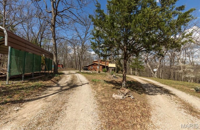 262 Leisure Ln, Montreal, MO 65591 - photo 34
