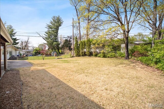 3105 Newgate Dr, Florissant, MO 63033 - view of yard