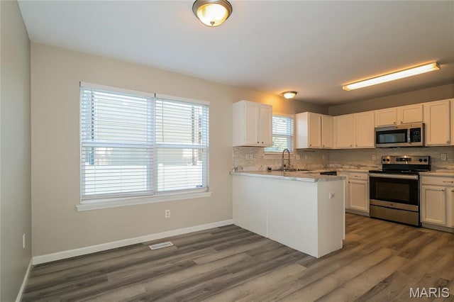 4007 Lafayette Ave, Saint Louis, MO 63110 - kitchen featuring appliances with stainless steel finishes, a sink, decorative backsplash, dark wood finished floors, and light countertops