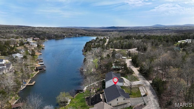 632 N Lafitte Dr, Bonne Terre, MO 63628 - view of property location featuring a heavily wooded area and a nearby body of water