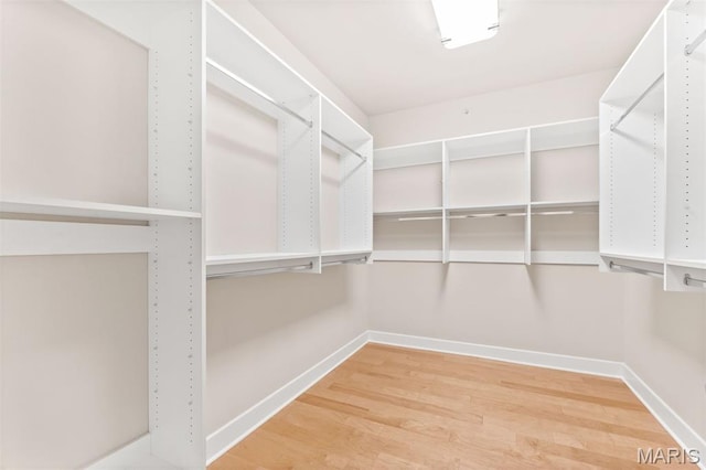 6 Brighton Way Unit 4D, Clayton, MO 63105 - walk in closet with wood finished floors