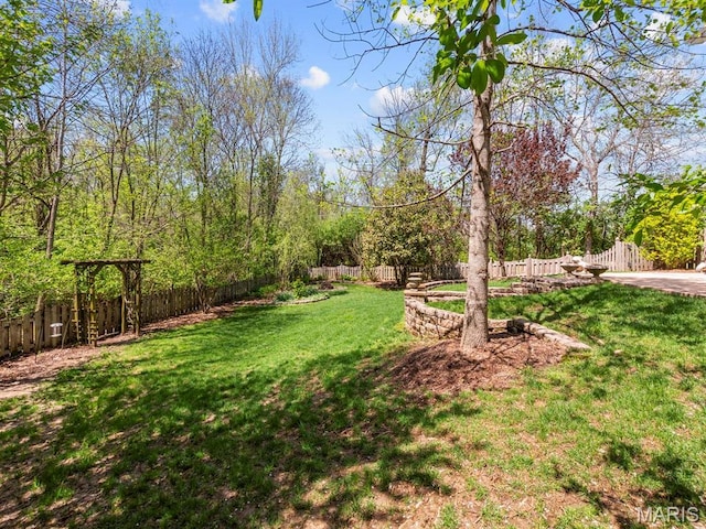 1509 Cedar Ridge Dr, Ofallon, IL 62269 - view of yard