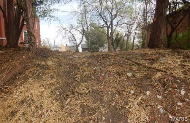4338 Virginia Ave, Saint Louis, MO 63111 - photo 6