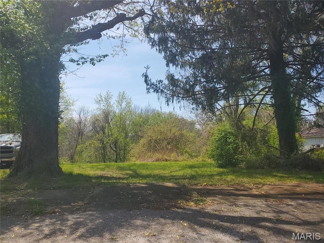 80 N 98th St, Belleville, IL 62223 - photo 1