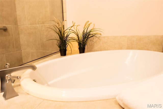 1015 Washington Ave Unit 507, Saint Louis, MO 63101 - bathroom view of a bath