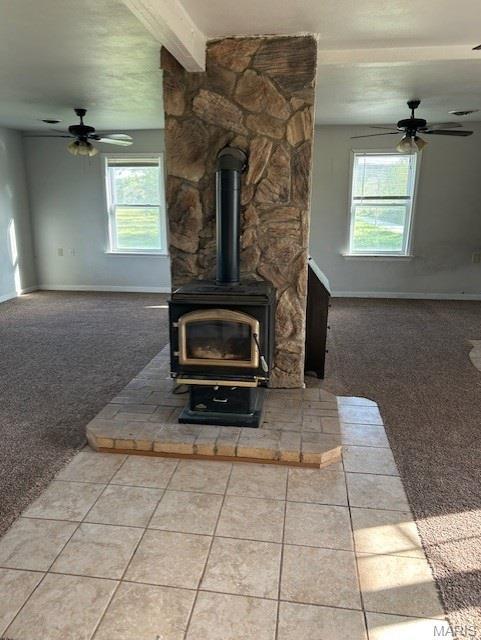 14 Cabin River Rd, Troy, MO 63379 - photo 5