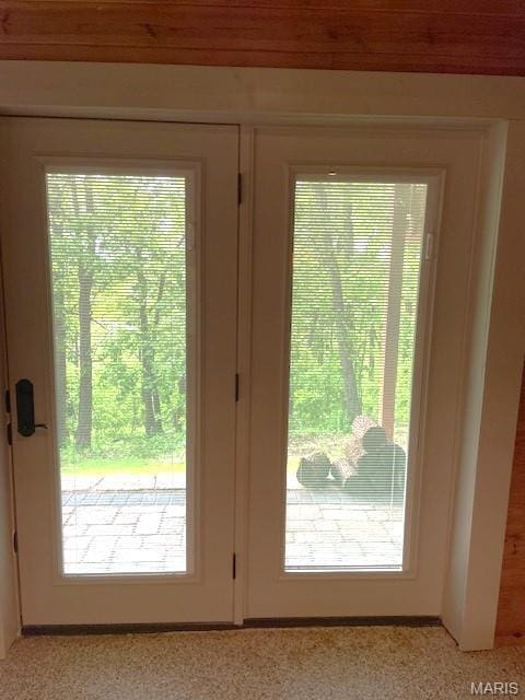 entryway with plenty of natural light