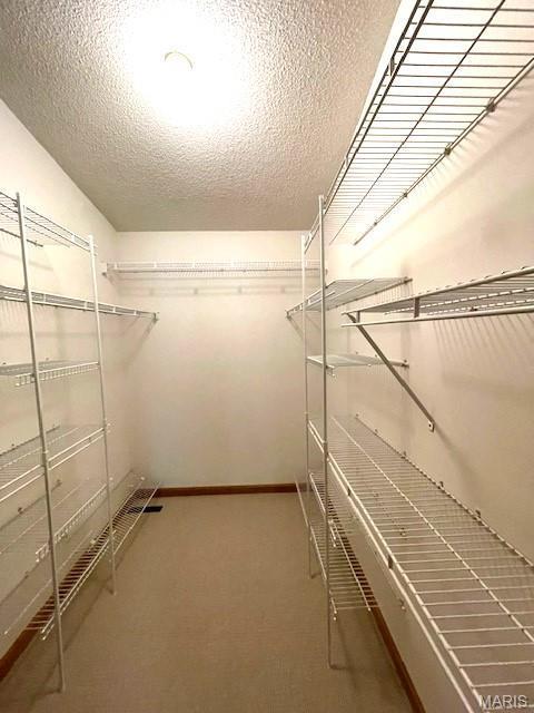 577 Schluersburg Rd, Augusta, MO 63332 - walk in closet featuring carpet