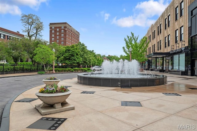 4366 W Pine Blvd Unit Cw, Saint Louis, MO 63108 - view of property's community