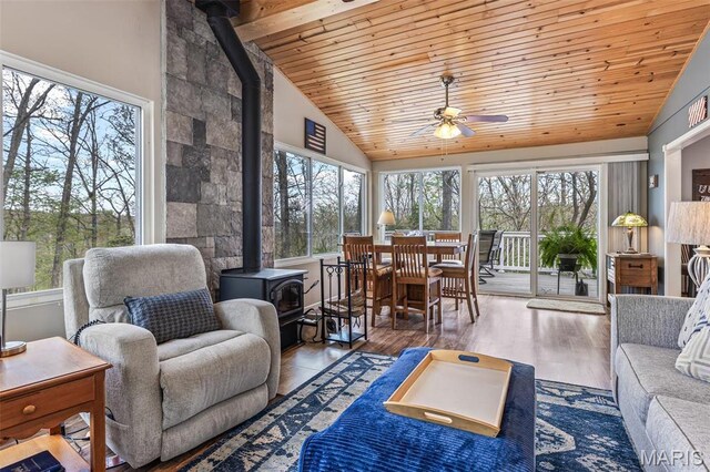 13219 Apache Point Dr, Saint Genevieve, MO 63670 - sunroom / solarium with a wood stove, healthy amount of natural light, and vaulted ceiling