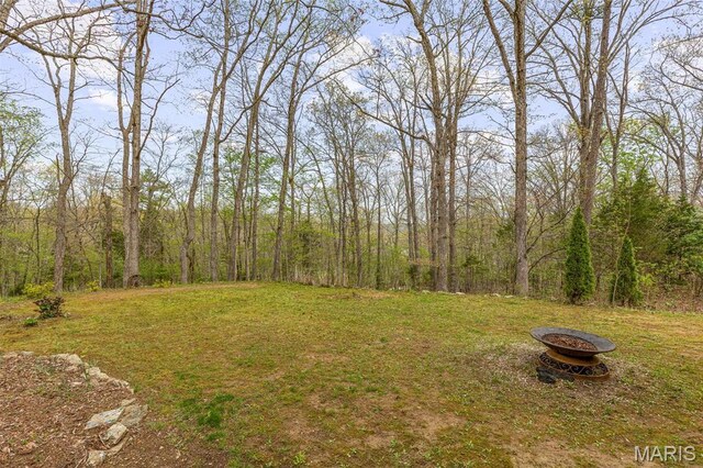 13219 Apache Point Dr, Saint Genevieve, MO 63670 - view of grassy yard with a wooded view