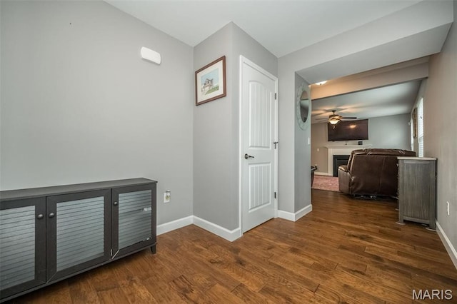 1338 Orchard Lakes Cir, Belleville, IL 62220 - hall with wood finished floors and baseboards