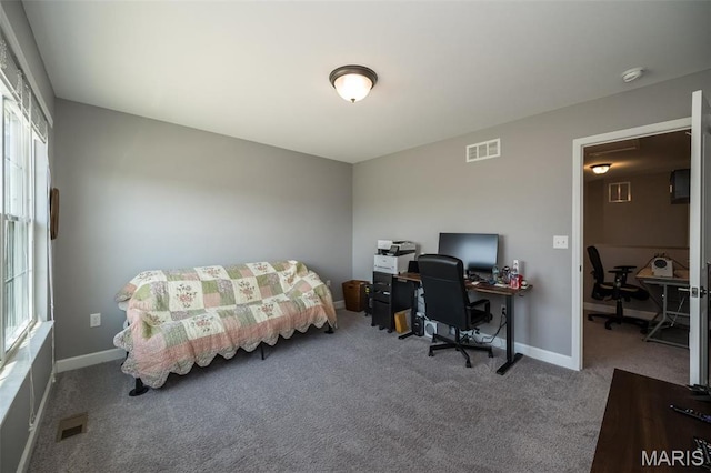 1338 Orchard Lakes Cir, Belleville, IL 62220 - carpeted office featuring baseboards