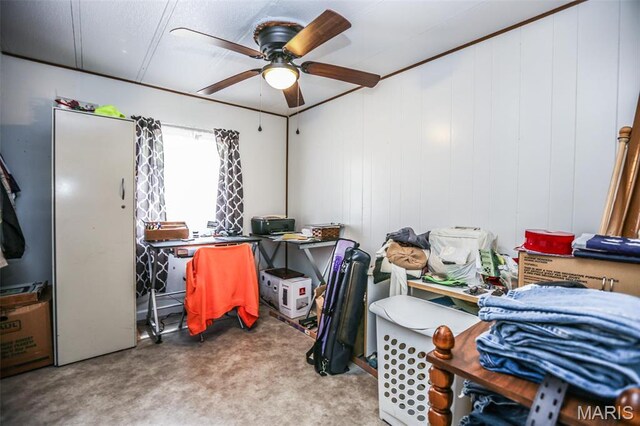5507 Sassafras Ln, High Ridge, MO 63049 - storage area with a ceiling fan
