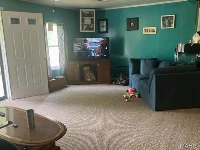 23298 County Road 224, Malden, MO 63863 - photo 5